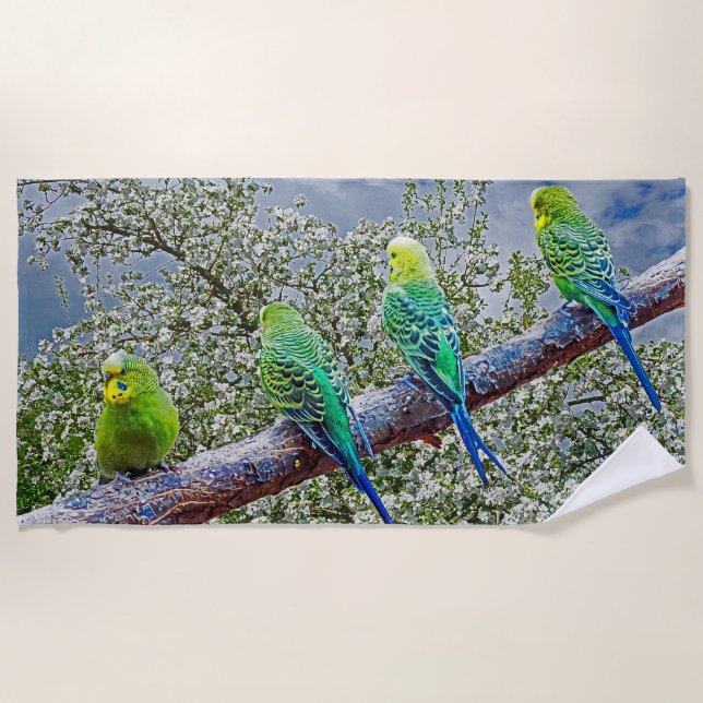 Toalha De Praia Birds - budgies (Frente)