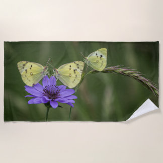 Toalha De Praia borboletas na primavera