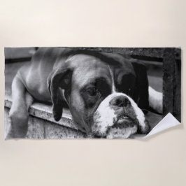 Toalha De Praia Boxer Dog Em Windowsill Btcn Beach Towel