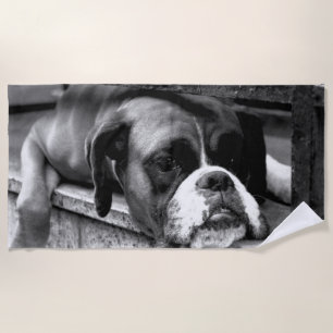 Toalha De Praia Boxer Dog On Windowsill btcn