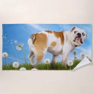 Toalha De Praia Cães com Dandelion