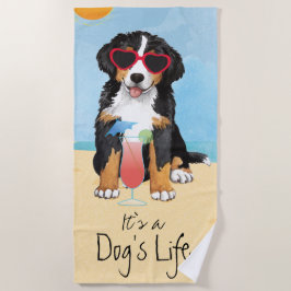Toalha De Praia Cão de montanha de Bernese do verão