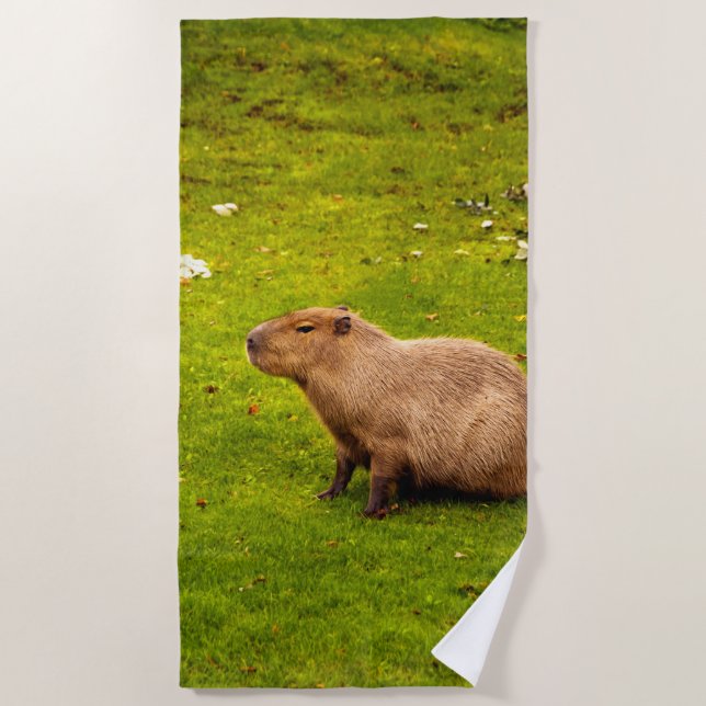 Toalha De Praia Capybara (Frente)