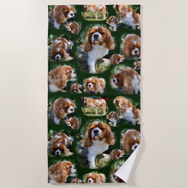 Toalha De Praia Cavalier Spaniel Collarge, Beach Towel (Frente)