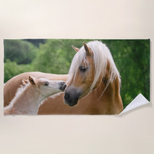 Toalha De Praia Cavalos bonitos potro de Haflinger e beijo de