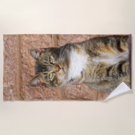 Toalha De Praia Church Cat