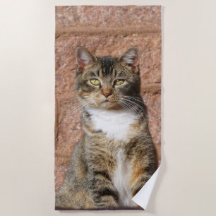 Toalha De Praia Church Cat