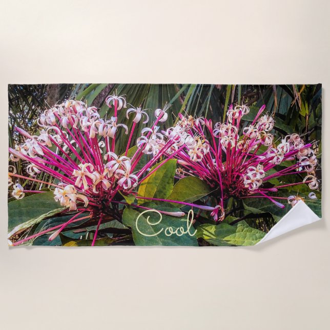 Toalha De Praia Clerodendrum Starburst Flowers Beach Towel (Frente)