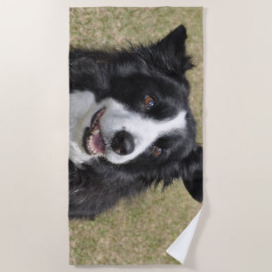 Toalha De Praia Collie de fronteira