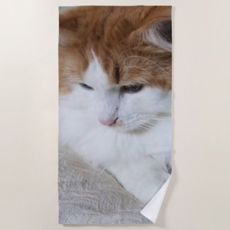 Toalha De Praia Contemplação do Gatinho (Rico Felino): Foto Cat