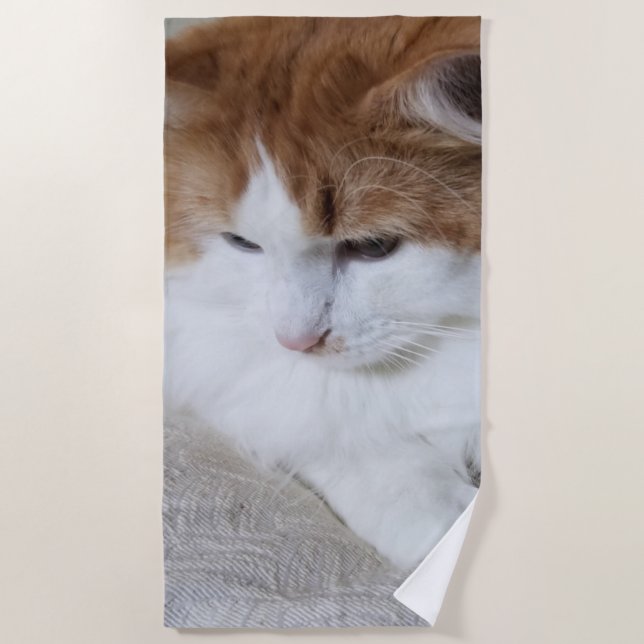 Toalha De Praia Contemplação do Gatinho (Rico Felino): Foto Cat (Frente)