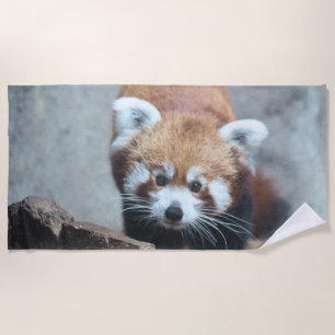 Toalha De Praia Coroa