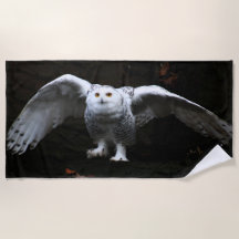 Coruja de Neve com Asas Abertas