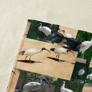 Toalha De Praia Crônicas da Lixeira: Uma Colagem de Fotos de Íbis