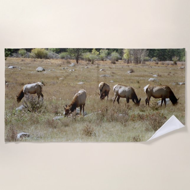 Toalha de praia de Elk (Frente)