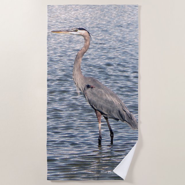 Toalha de praia de Herão Azul (Frente)