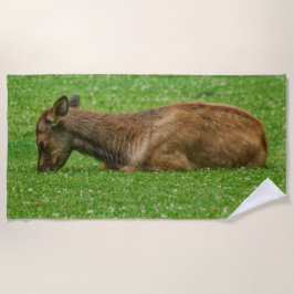 Toalha De Praia Dormir Pequeno