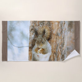 Toalha De Praia Esquilo bonito numa paisagem de inverno