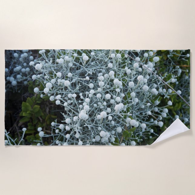 Toalha De Praia fotografiqqq uniqe beach towel (Frente)