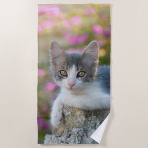 Toalha De Praia Gatinho Bicolor Gatinho Fluffy Foto Amantes de Gat
