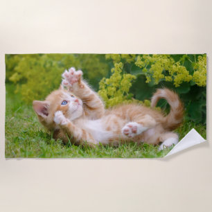 Toalha De Praia Gatinho engraçado bonito brincando num jardim flo