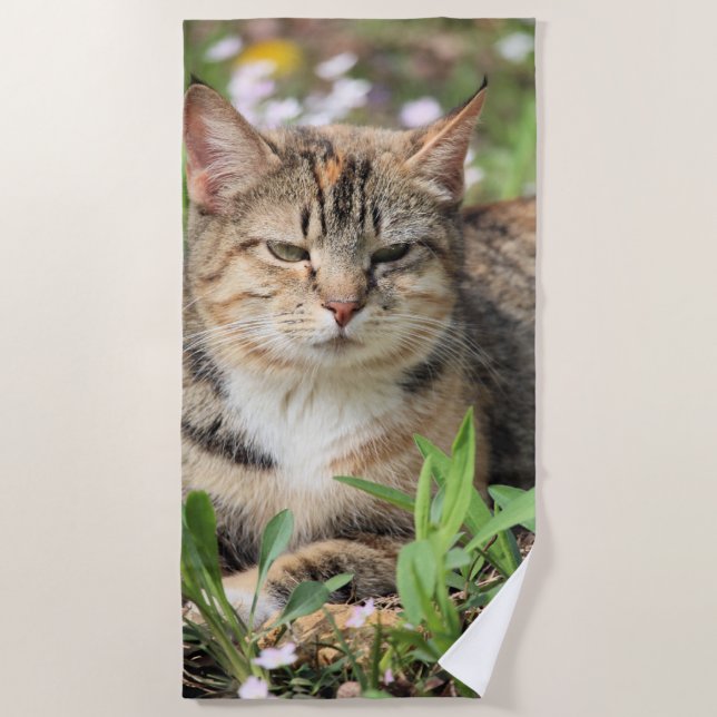 Toalha De Praia Gato (Frente)