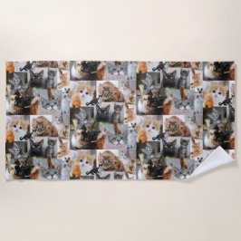 Toalha De Praia Gatos e Kittens