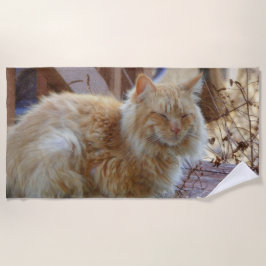 Toalha De Praia Ginger George