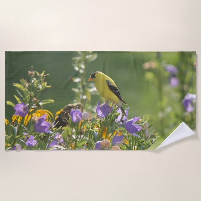 Toalha De Praia Goldfinch em uma Flor Harebell (Frente)