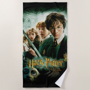 Toalha De Praia Harry Potter Ron Hermione Dobby Group Shot