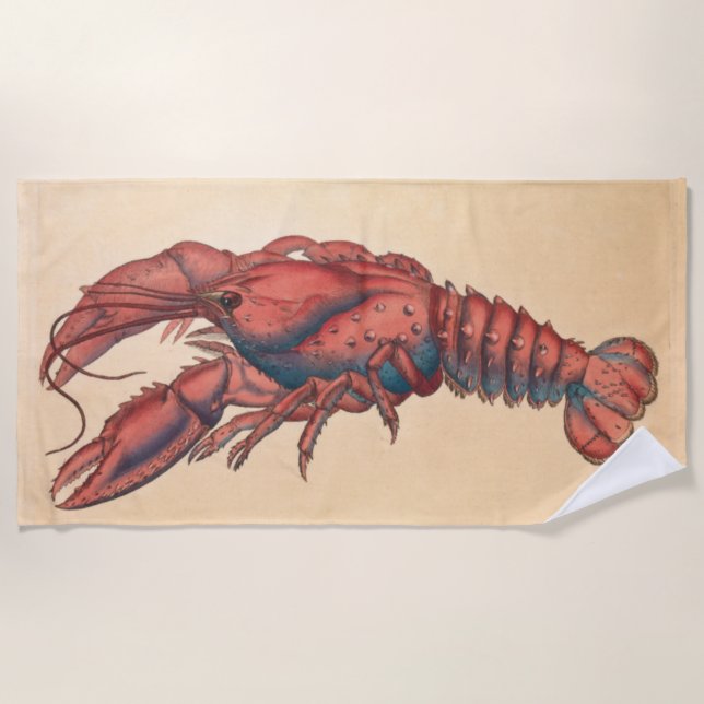 Toalha De Praia James Sowerby Sernotated Lobster (Frente)