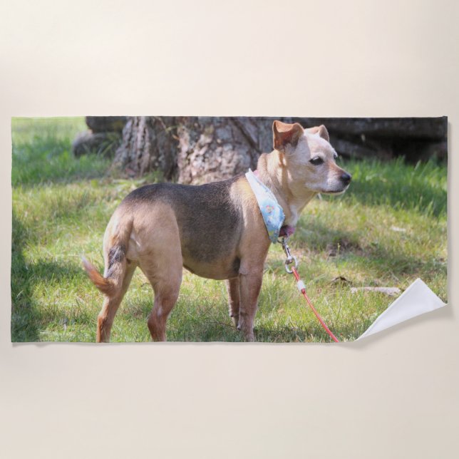 Toalha De Praia Lily Beach Towel (Frente)