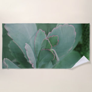 Toalha De Praia Lindas Plantas Desérticas