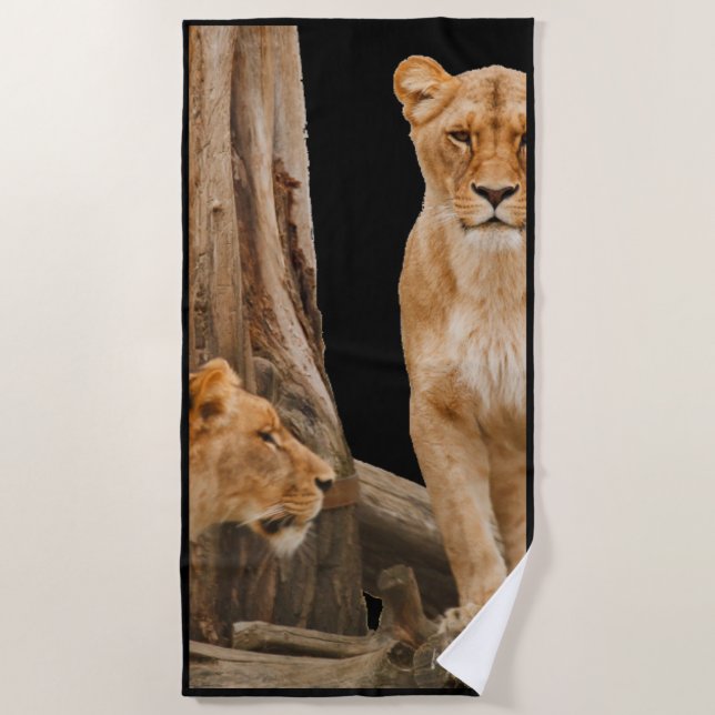 Toalha De Praia Lioness Beach Towel (Frente)