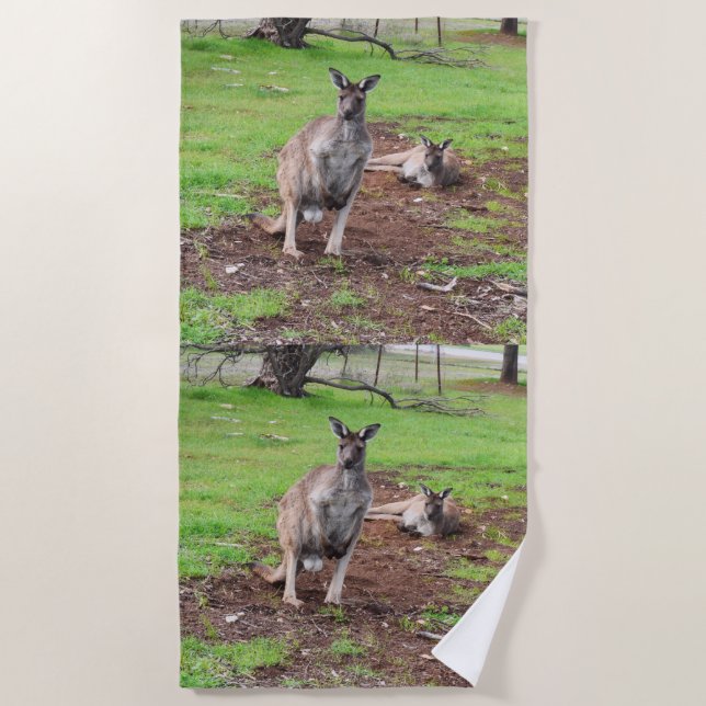 Toalha De Praia Male Australian Kangaroo, Beach Towel (Frente)