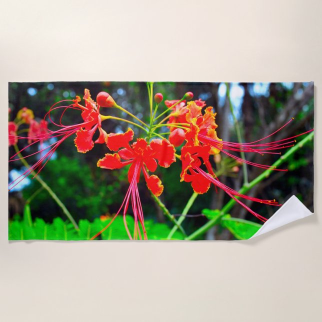 Toalha De Praia Orgulho de Barbados (Frente)