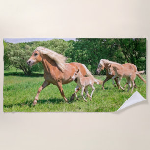 Toalha De Praia Os cavalos de Haflinger com potros bonitos