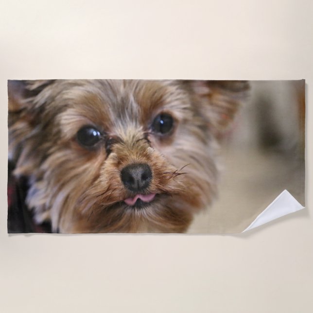 Toalha De Praia Pfft (Frente)