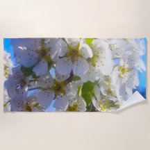 Ramal brilhante de uma pera