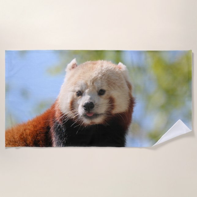 Toalha De Praia Red Panda (Frente)
