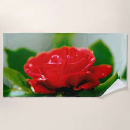 Toalha De Praia Rosa vermelha de manhã coberta com gotas de orvalh