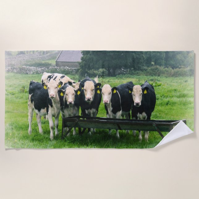 Toalha De Praia Smile please! Cute cows (Frente)