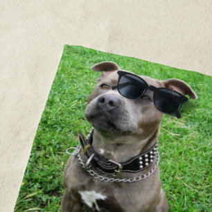 Toalha De Praia Staffordshire Bull Terrier Sentado À Atenção,