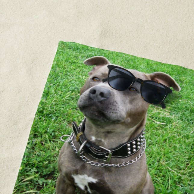 Toalha De Praia Staffordshire Bull Terrier Sentado À Atenção, (In Situ)