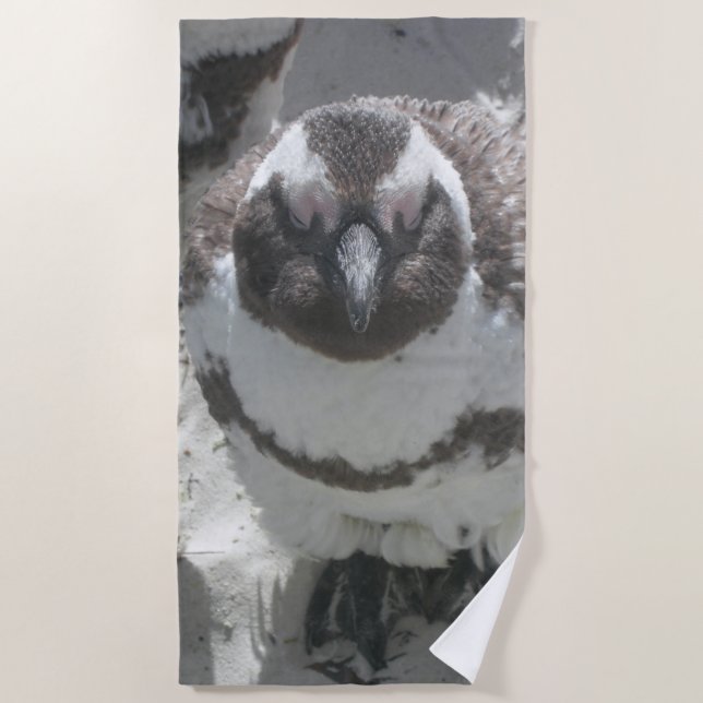 Toalha De Praia Sun Bathing Penguin Beach Towel (Frente)