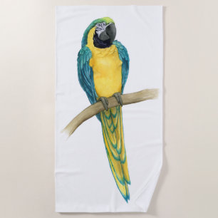 Toalha De Praia Teal Macaw
