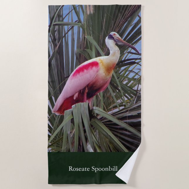 Toalha De Praia Torre de praia do Roseate Spoonbill (Frente)