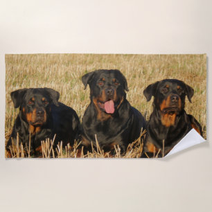 Toalha De Praia Três Cães Rottweiler - Embalagem de Rotinas