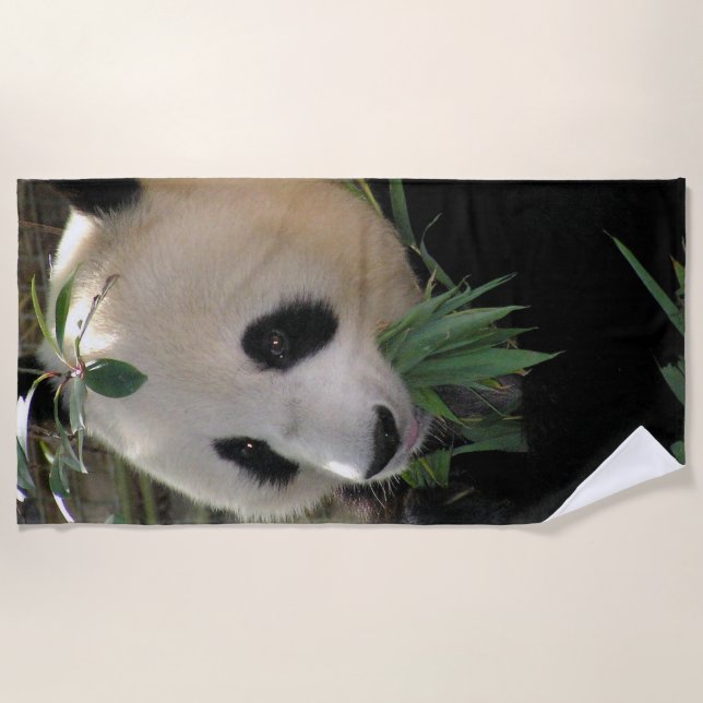 Desenho de papel de urso panda gigante pandas, panda, animais