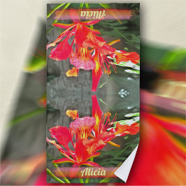 Toalha De Praia Vallarta Flaming Beauty 1583